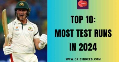Most Test Runs in 2024